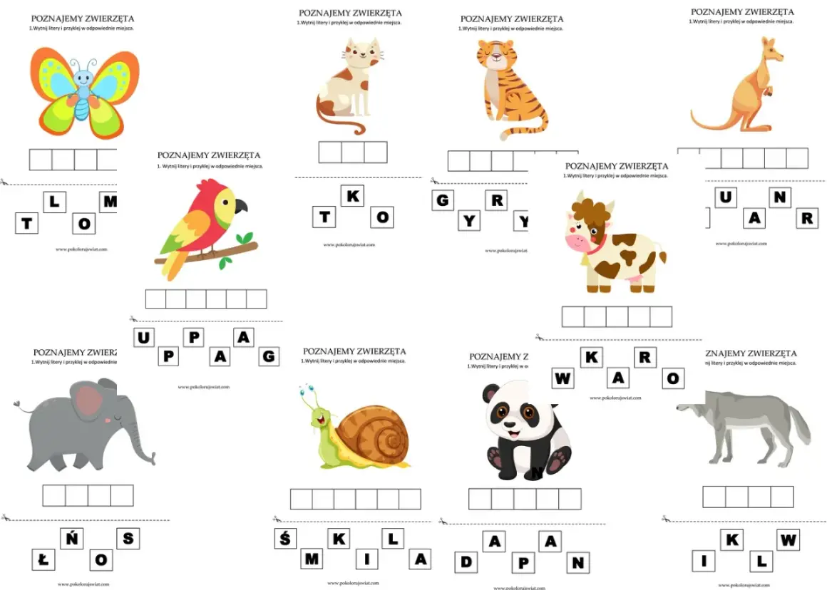 Zwierzęta karty pracy: motyl, papuga, słoń, ślimak, kot, tygrys, krowa, panda, kangur, wilk. Uzupełnij nazwy zwierząt.