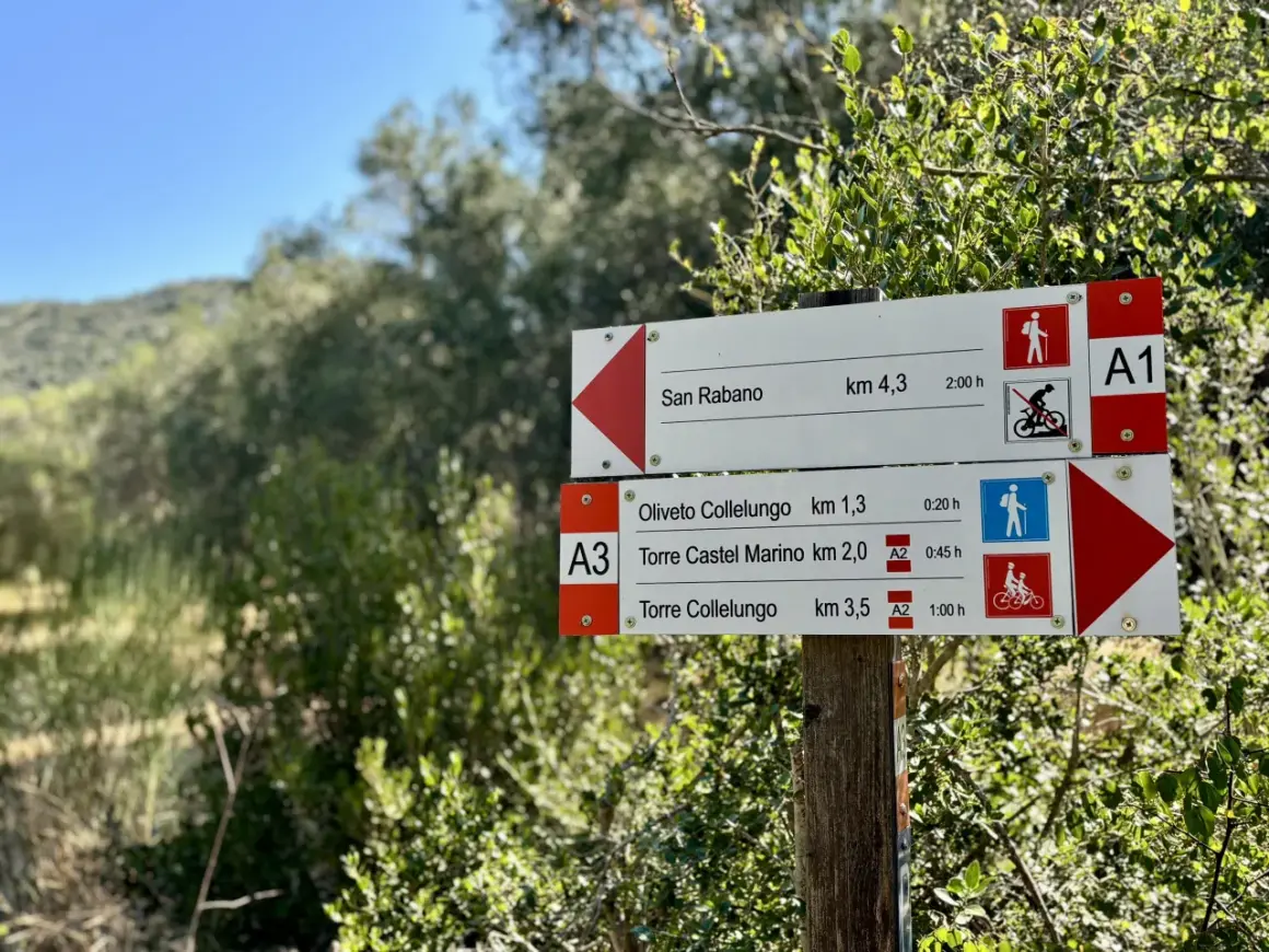 Cartelli segnaletici nel Parco Regionale della Maremma indicano sentieri per San Rabano, Oliveto Collelungo e Torre Castel Marino.