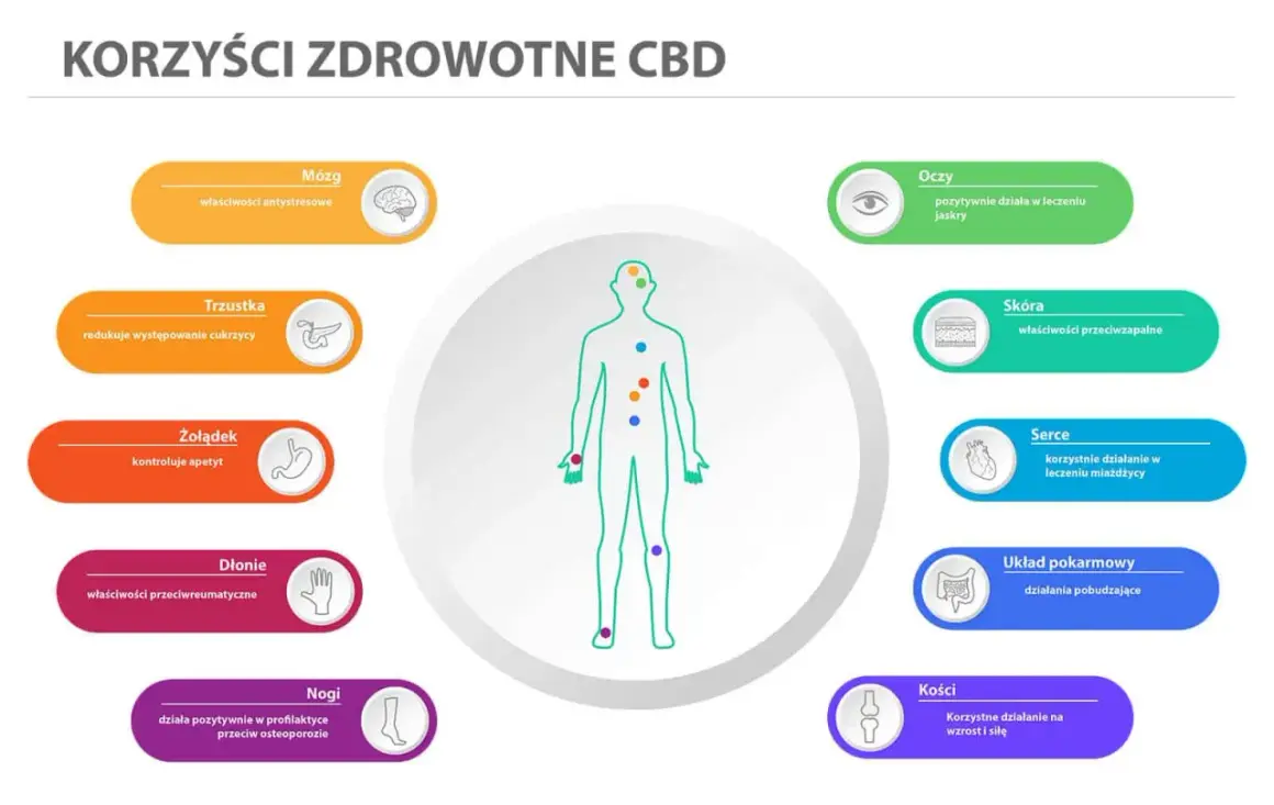 CBD wspiera mózg, łagodząc stres, co może pomóc w walce z objawami depresji. Grafika pokazuje też korzyści dla oczu, skóry, serca, układu pokarmowego, trzustki, żołądka, dłoni i nóg.