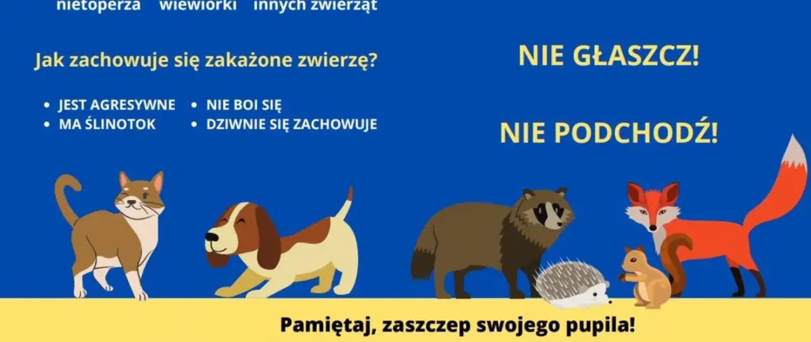 Uważaj na zwierzęta z objawami wirusa wścieklizny: agresja, ślinotok, dziwne zachowanie. Nie głaszcz, nie podchodź! Zaszczep pupila.