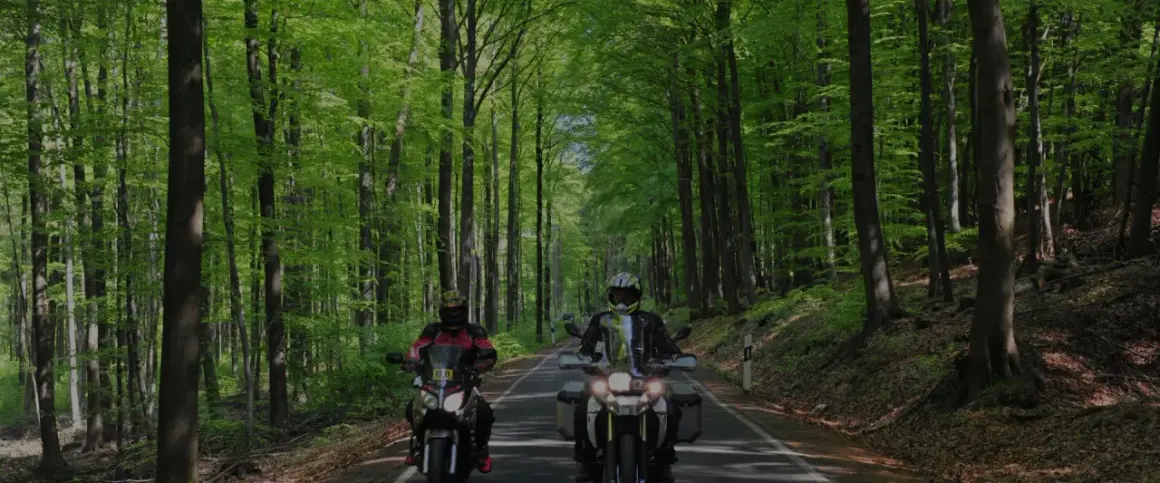 Zwei Motorradfahrer genießen eine entspannte Motorradtour im Bergischen Land, umgeben von einem leuchtend grünen Buchenwald.