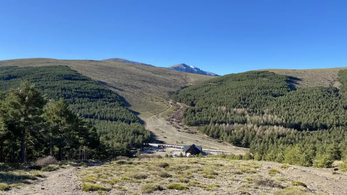 Paisaje montañoso con bosques de pinos y un camino que desciende hacia el puerto de la Ragua. Se ve una edificación y coches aparcados.
