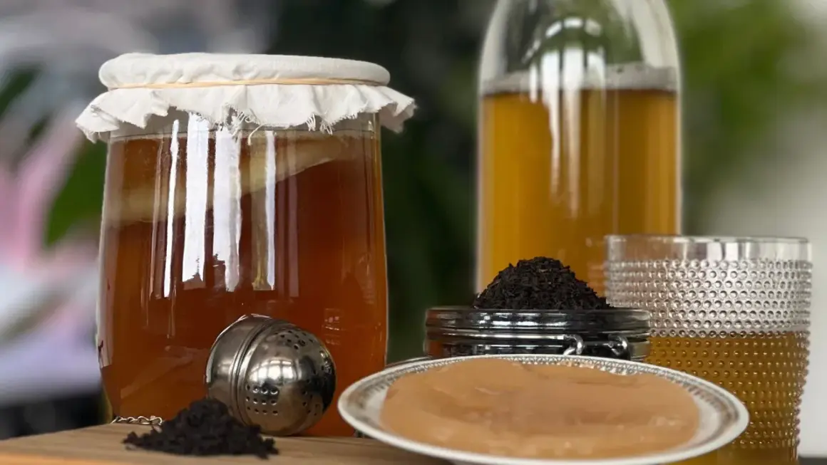 Un bocal de kombucha en fermentation, du thé noir et une mère de kombucha. Découvrez les kombucha bienfaits pour votre santé.