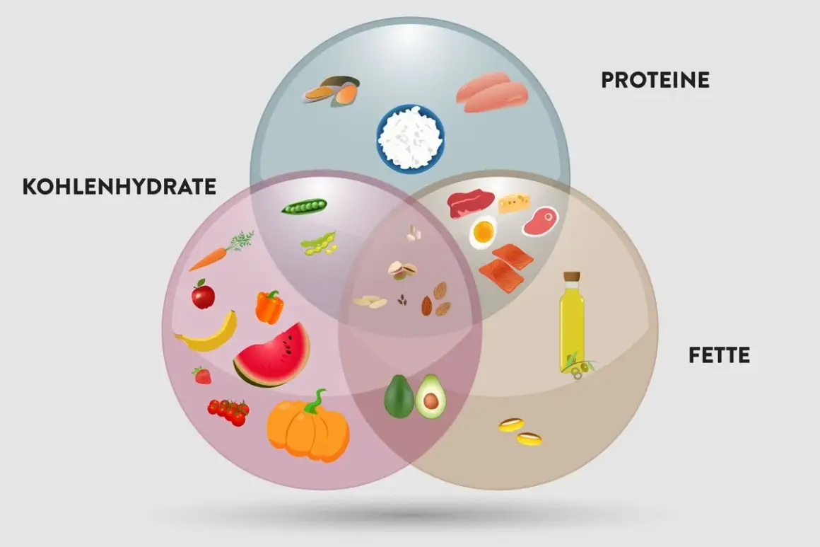 Venn-Diagramm zeigt, was sind Makros: Kohlenhydrate (Obst, Gemüse), Proteine (Fleisch, Fisch, Eier) und Fette (Öl, Nüsse, Avocado).