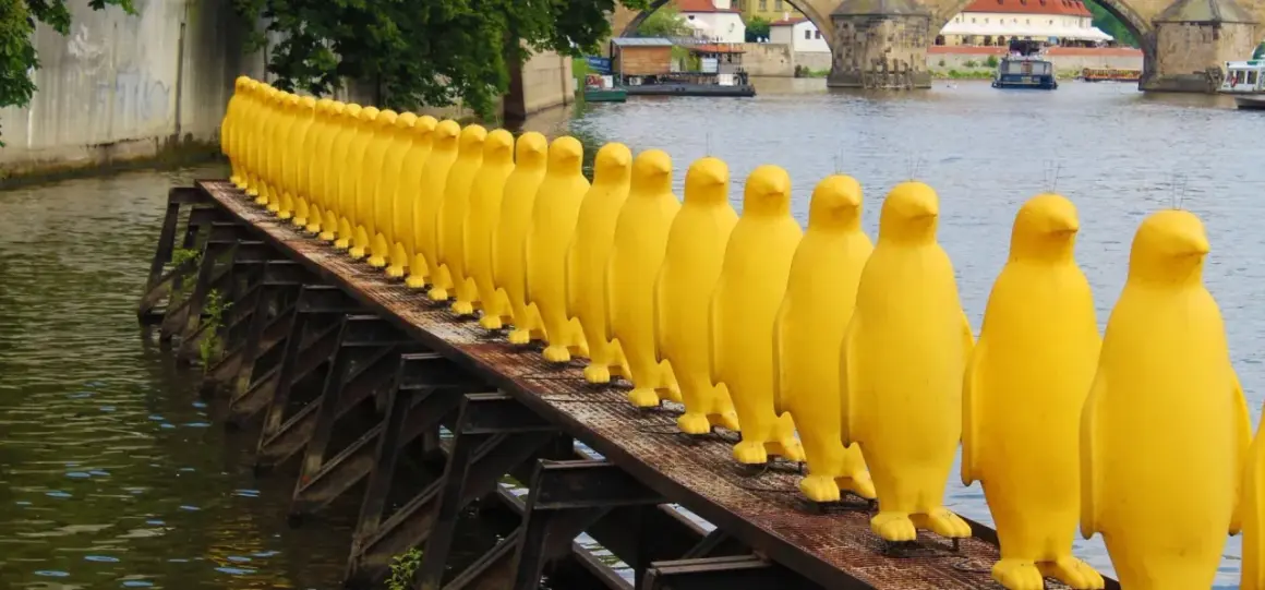 Żółte pingwiny na moście w Pradze to nietypowe atrakcje. Rząd żółtych rzeźb tworzy niezwykły widok nad rzeką.