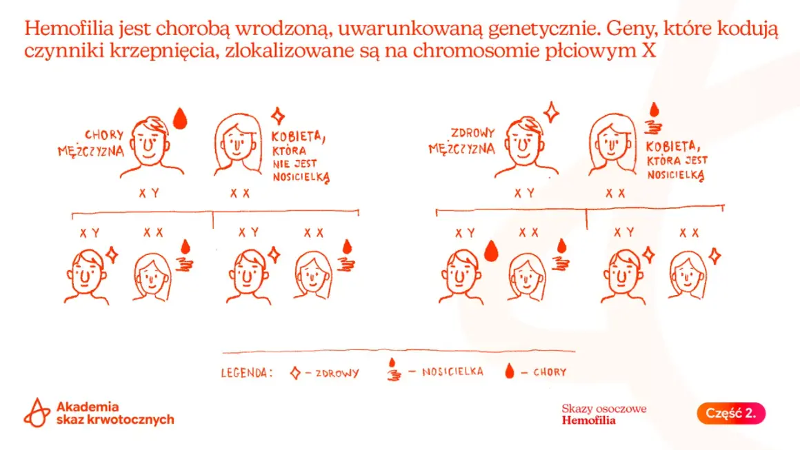 Wyjaśnienie, hemofilia co to jest: genetyczna choroba związana z chromosomem X, przedstawiona na schemacie dziedziczenia.