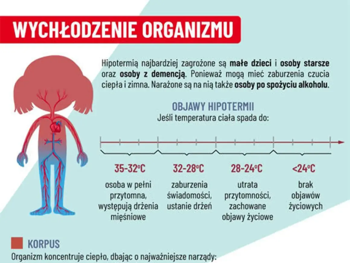 Objawy hipotermii: od drżeń mięśniowych po utratę przytomności i brak objawów życiowych. Wykres pokazuje etapy wychłodzenia organizmu.