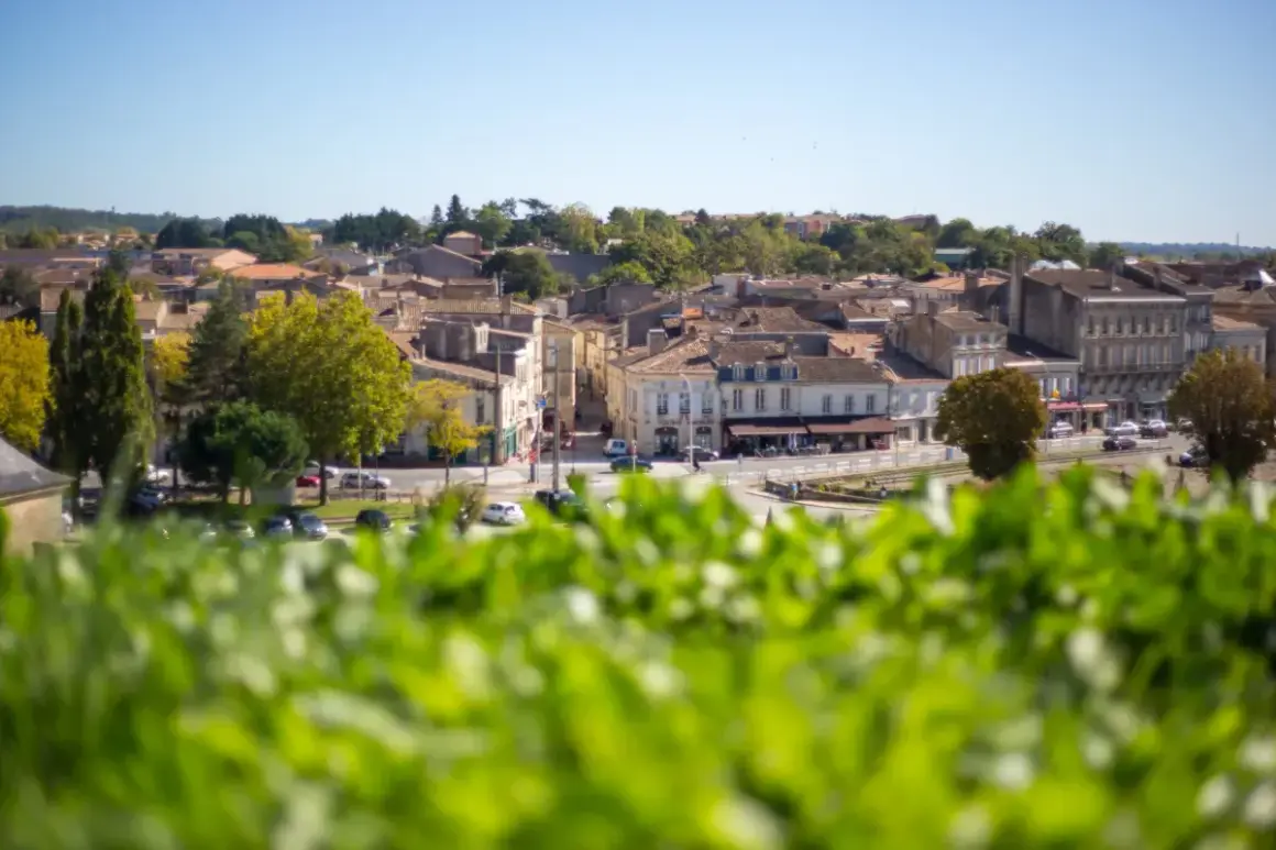 Paesaggio urbano con tetti in tegole e alberi verdi, in una regione vinicola a nord di Bordeaux.