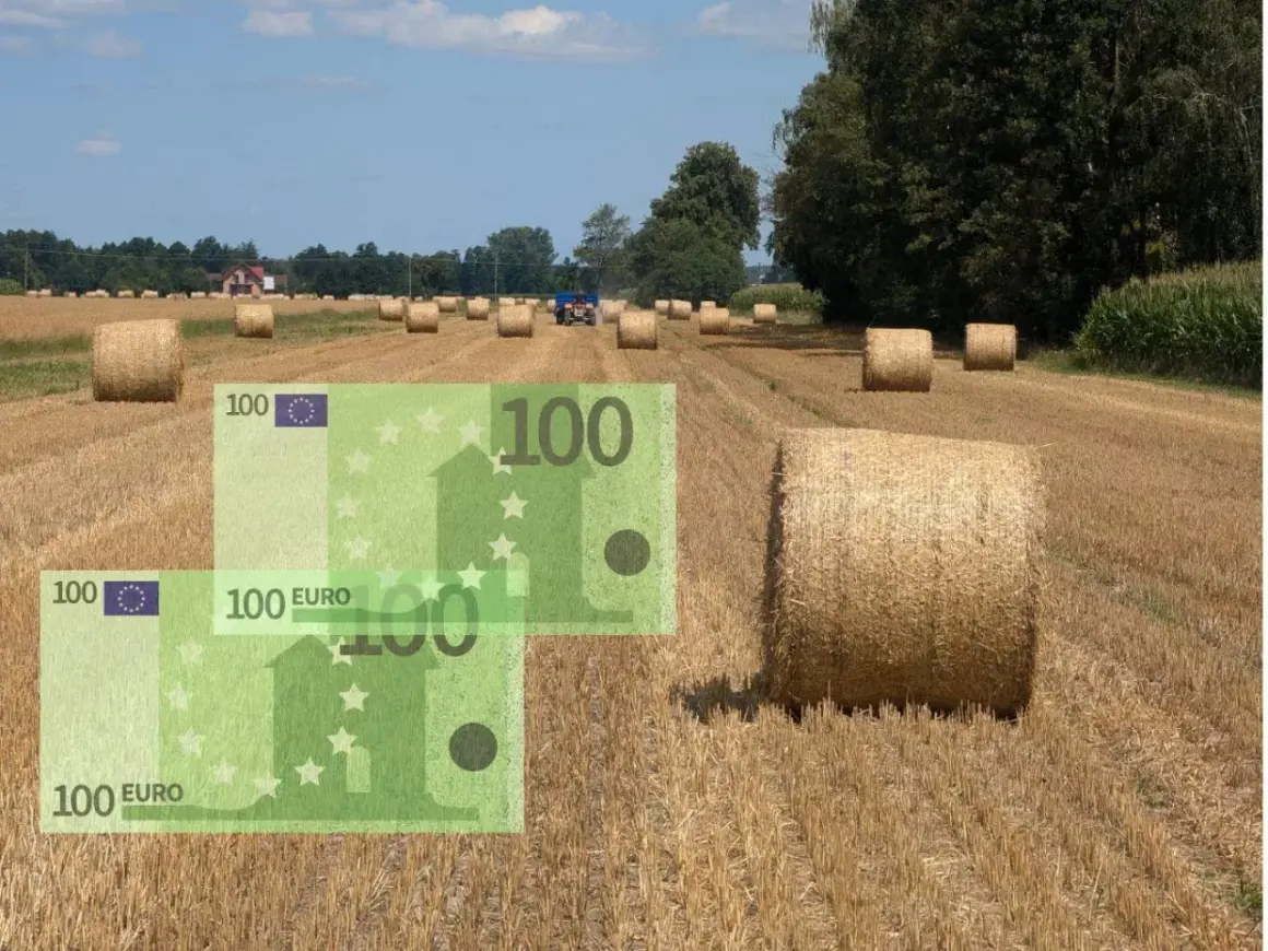 Pole z belami słomy i rachunki 100 euro. Zastanawiasz się, ile wynosi dopłata do 1 ha zboża?