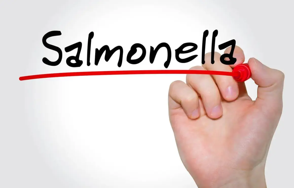 Ręka pisze markerem słowo "Salmonella", podkreślając problem salmonelli u dzieci.