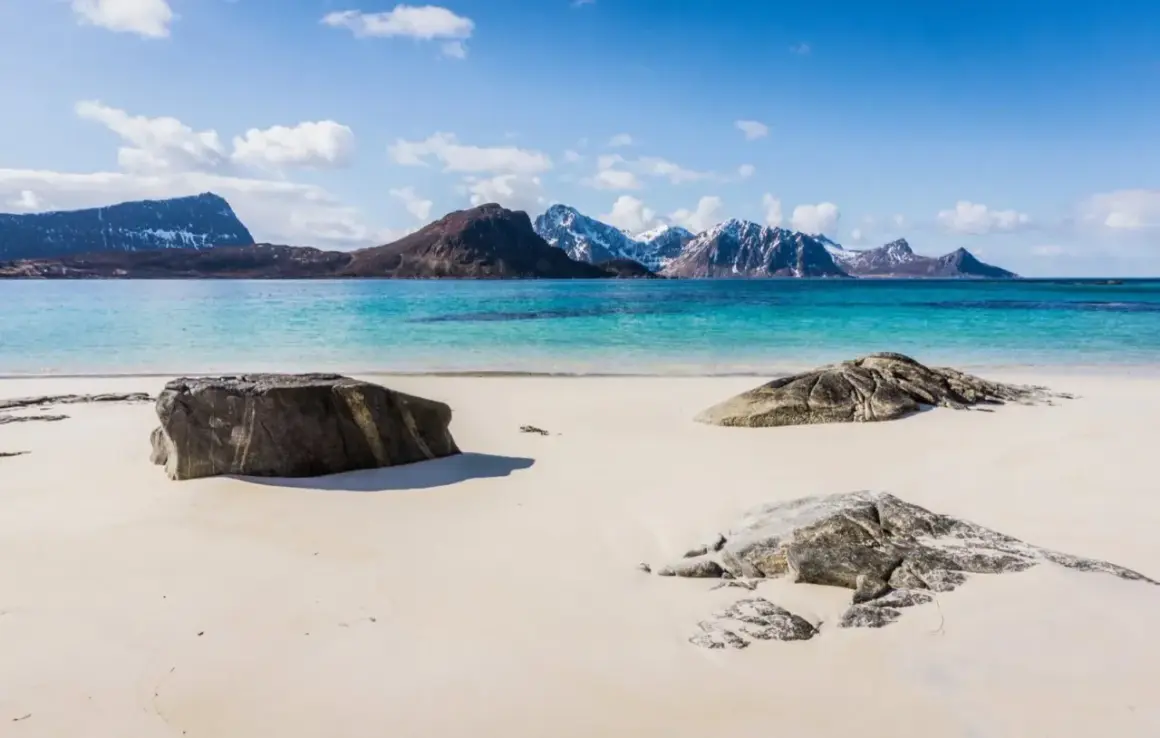 En vit sandstrand vid en turkosblå havsvik, med snöklädda berg i bakgrunden. En idyllisk lofoten beach.