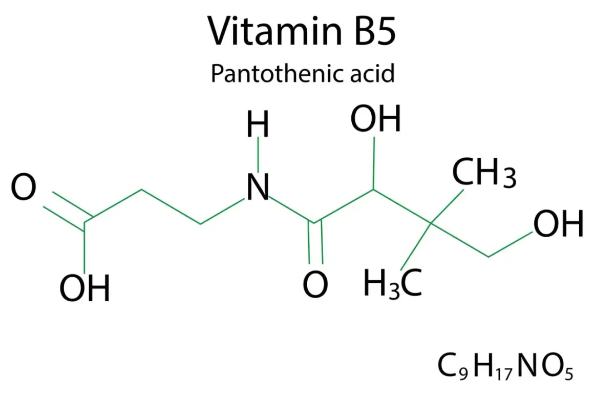 Chemische Strukturformel von Vitamin B5 (Pantothensäure) mit der Summenformel C9H17NO5.