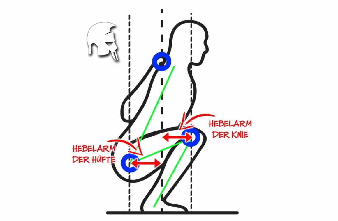 Schema einer Kniebeuge mit Hebelarmen an Hüfte und Knie. Der Vastus Intermedius ist hierbei zentral für die Streckung des Kniegelenks.
