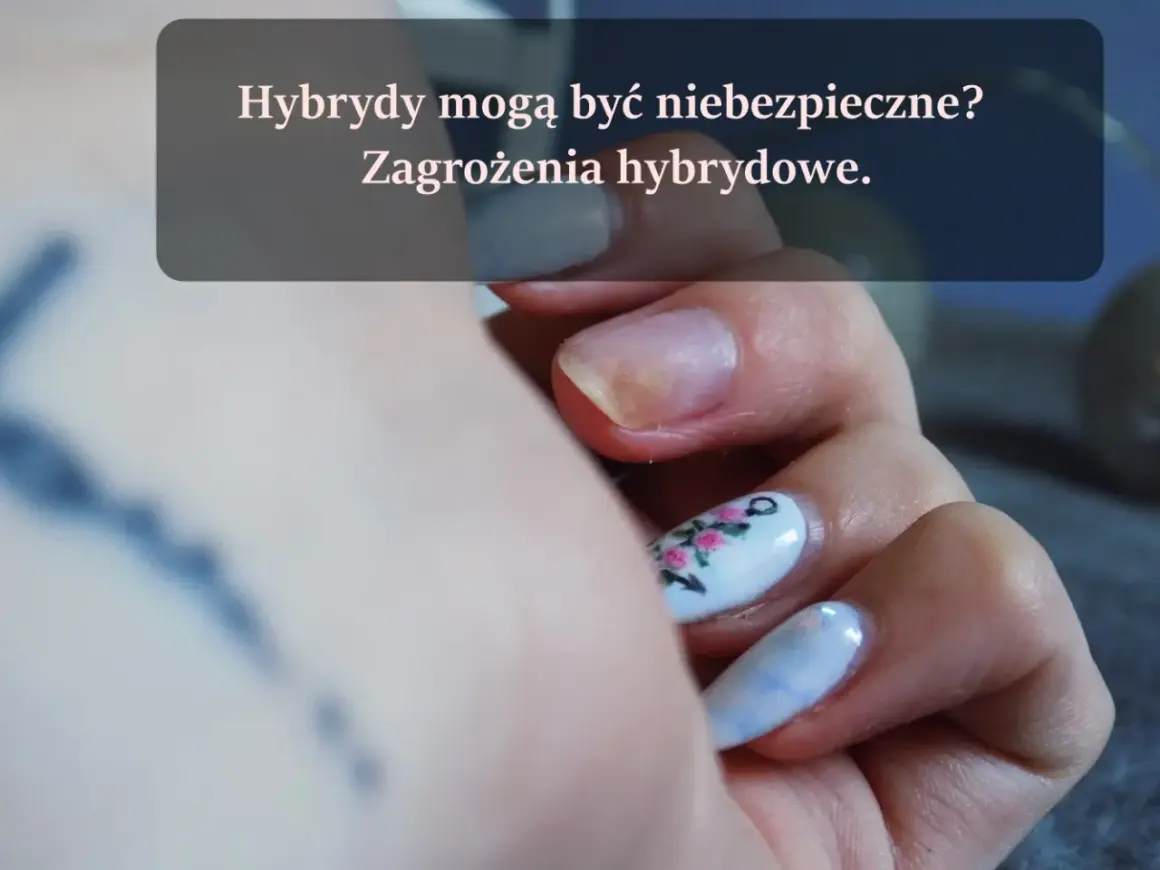 Dłoń z paznokciami, na których widać zagrożenia hybrydowe. Używaj lakierów hybrydowych 3 free dla zdrowia.