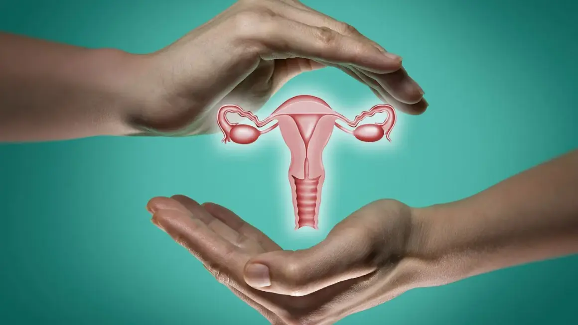 Dłonie otaczają macicę z jajowodami. Ilustracja symbolizuje troskę o zdrowie reprodukcyjne i zamkniętą szyjkę macicy - jak wyczuć jej stan.