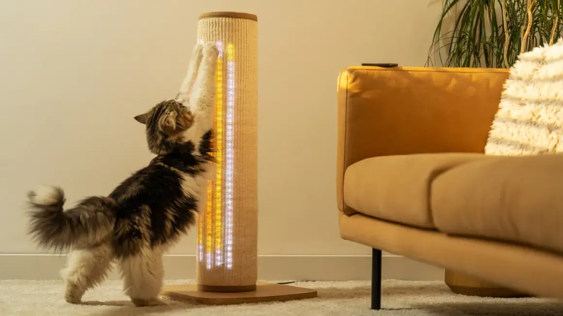 Katze kratzt an Sisal-Kratzbaum mit LED-Beleuchtung. Ein gelber Sofastoff ist im Hintergrund zu sehen.