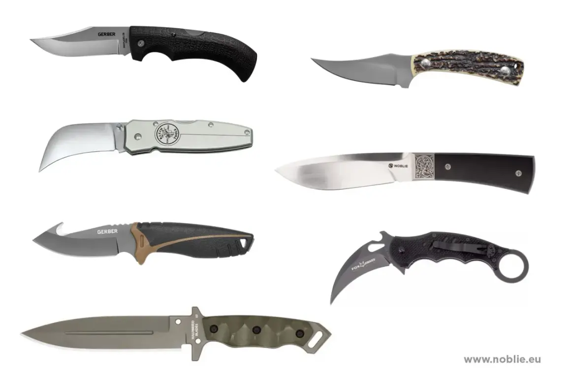 Vari tipi di coltelli da cucina e usi: coltello pieghevole, da caccia, da intaglio, karambit e altri.