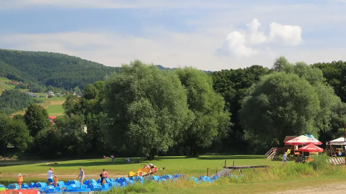 Słoneczna plaża w Czernichowie z rzędem niebieskich rowerków wodnych, zielonym trawnikiem i lasem w tle.