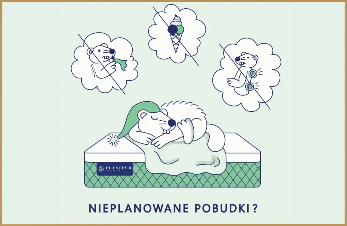 Śpiący bóbr na materacu, otoczony chmurkami z zakazanymi myślami: jedzeniem, stresem i bólem. Koniec z budzeniem się o 2-3 w nocy!