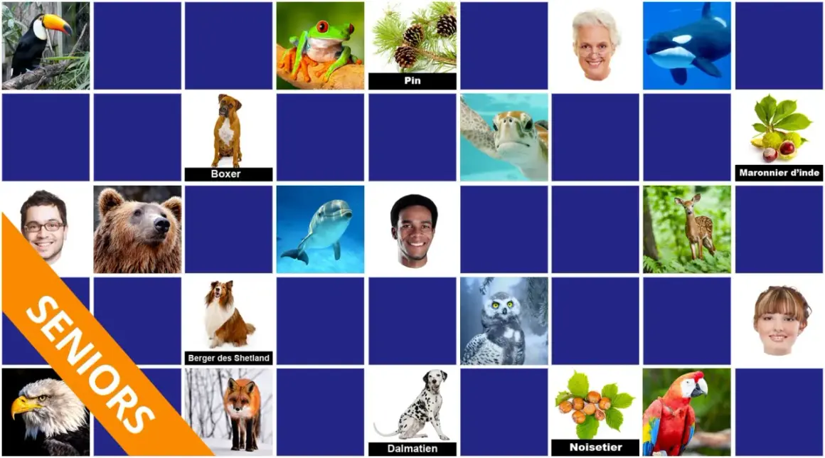 Jeu de mémoire dur : toucan, grenouille, pin, boxer, tortue, marronnier d'Inde, homme, ours brun, dauphin, homme, cerf, chouette, aigle, berger des Shetland, renard, dalmatien, noisetier, ara.