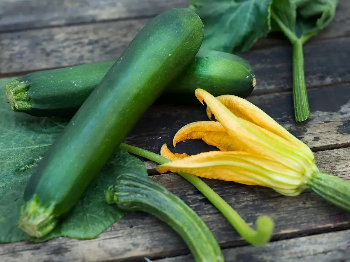 Färska zucchinis och en blomma på träbordet. Snart dags att plantera zucchini för en riklig skörd.