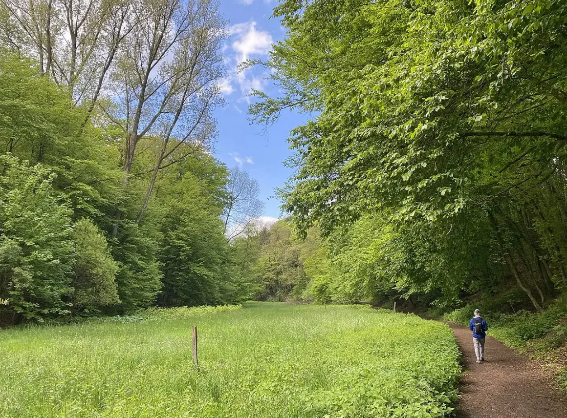 Ein Wanderer auf dem Liewerfrauenweg in Solingen genießt die üppige grüne Natur und den blauen Himmel.