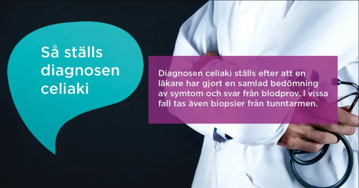 Läkare utreder celiaki baserat på symtom och blodprov. Förstå glutenintolerans symtom för en snabbare diagnos.