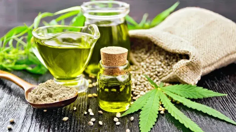 Olejek z konopi indyjskich: co musisz wiedzieć o THC, CBD, RSO?