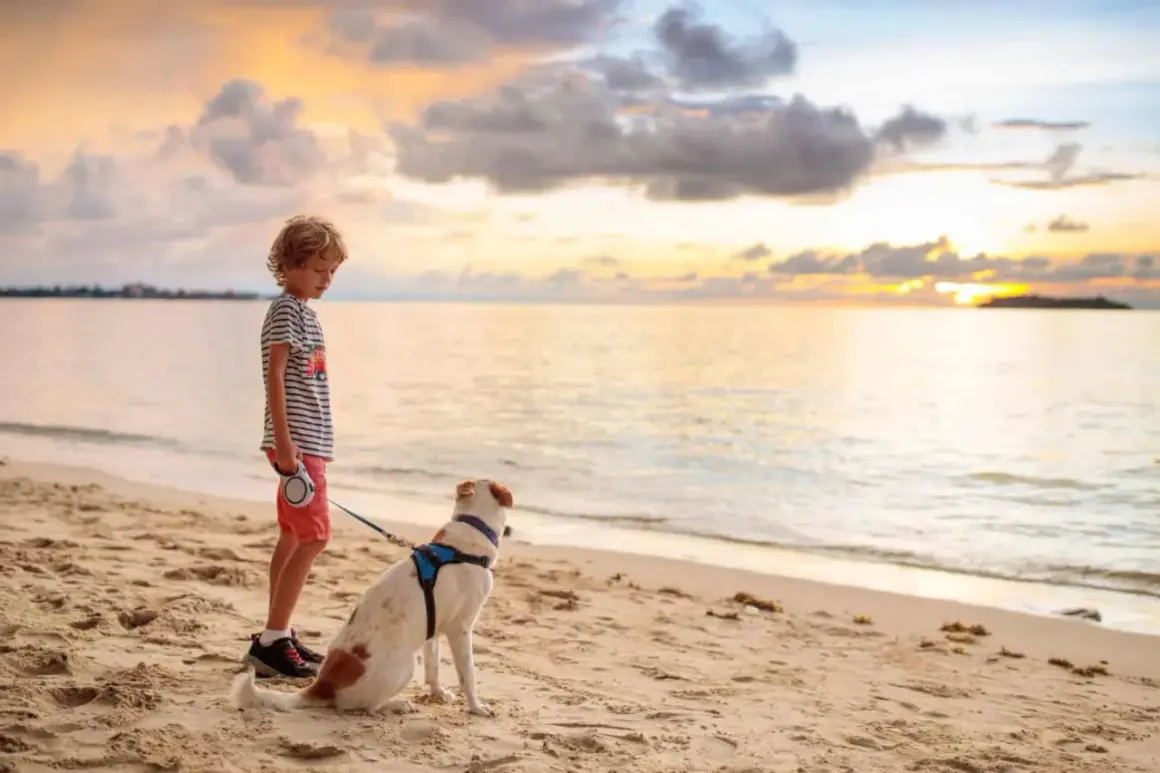 Un garçon et son chien profitent d'un coucher de soleil sur la plage de Gruissan.