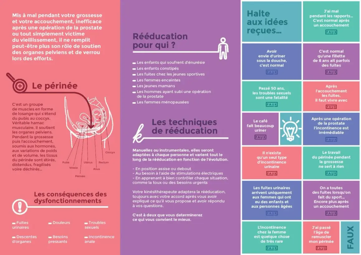 Le périnée, essentiel pour le soutien des organes, peut nécessiter une rééducation chez la femme après accouchement ou à tout âge.