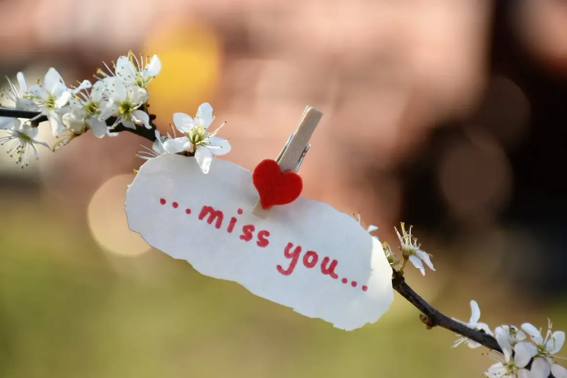 Biała kartka z napisem "miss you" i serduszkiem, przyczepiona do kwitnącej gałązki. Wyrazy współczucia po angielsku.