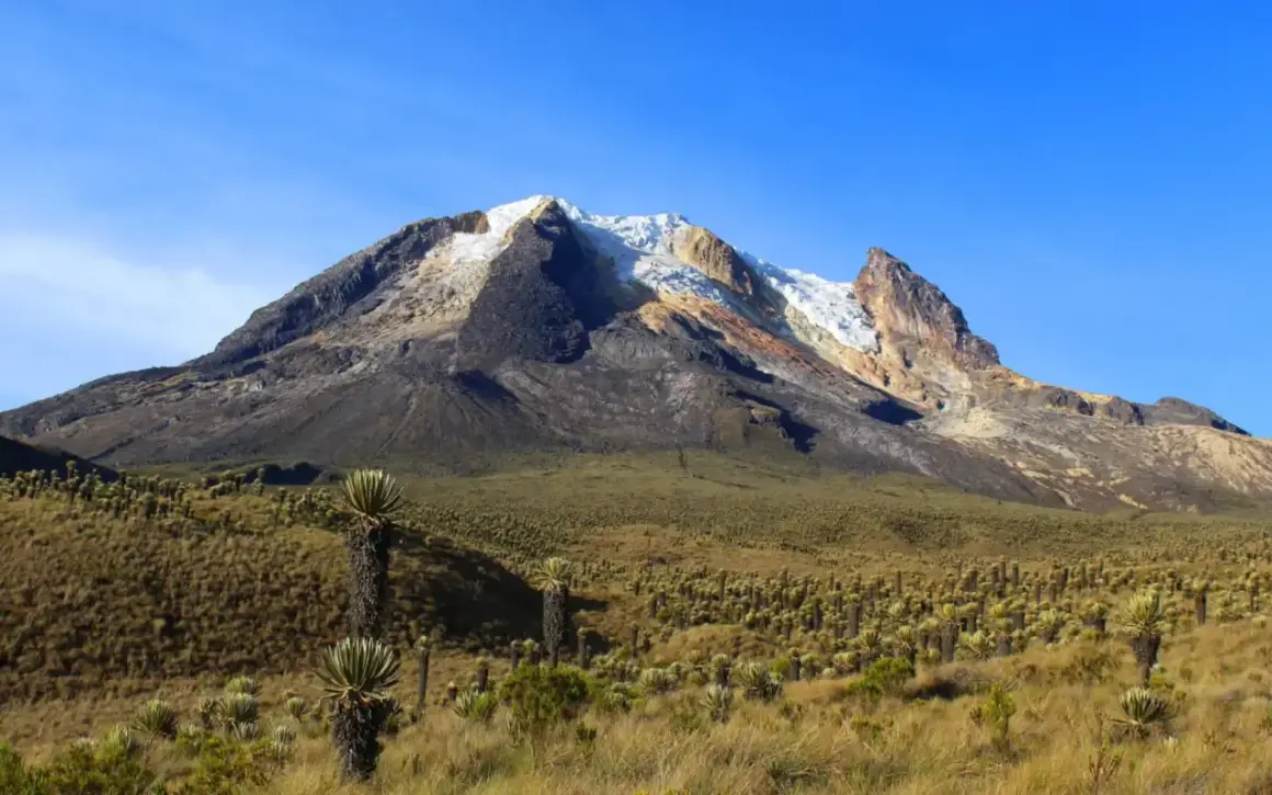 Paysage de haute montagne en Colombie, avec un volcan enneigé et une végétation unique de frailejones. Une invitation à la randonnée.