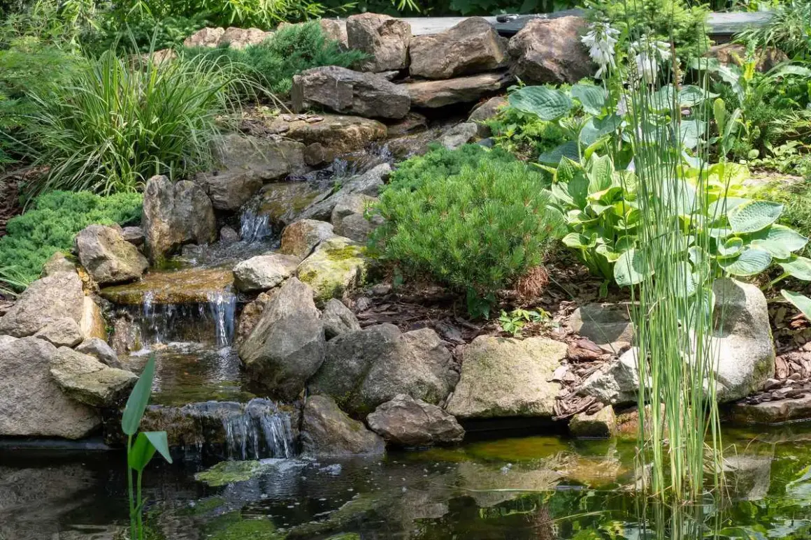 Un exemple de cascade pour bassin, avec des rochers, de la végétation luxuriante et une eau claire.
