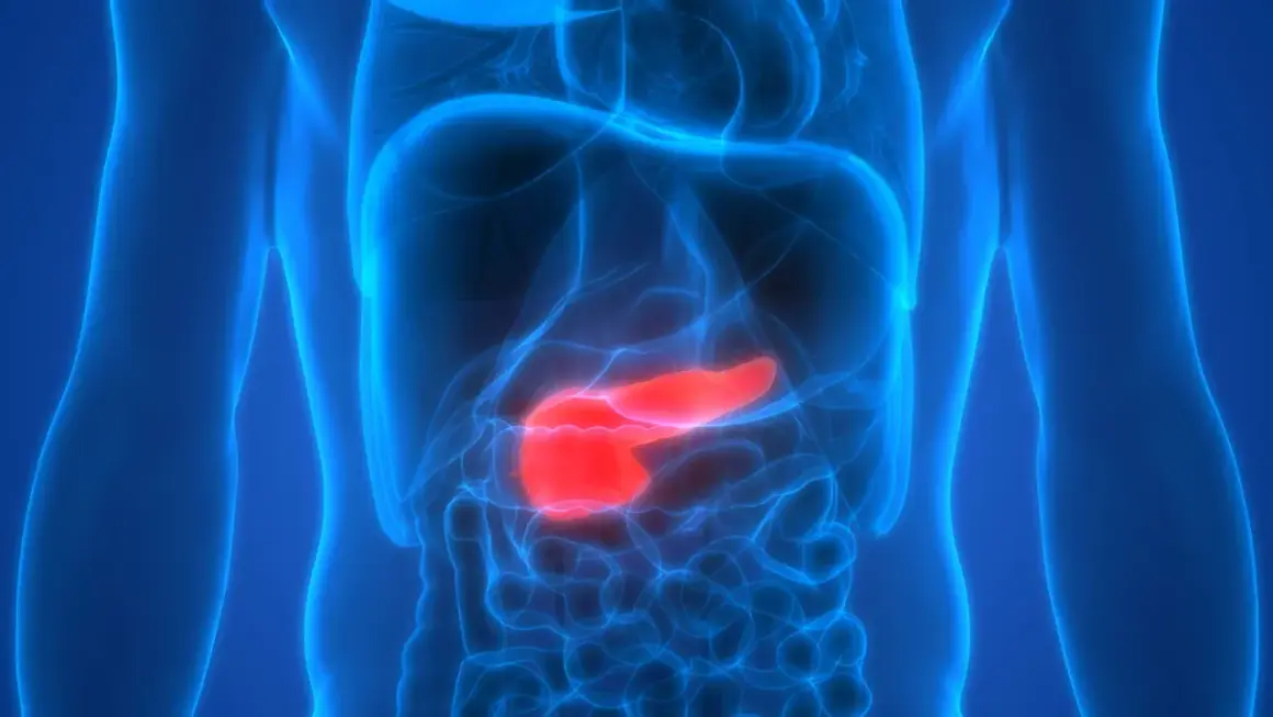 Anatomia człowieka z podświetloną na czerwono trzustką. Obraz symbolizuje trudne rokowania w przypadku raka trzustki, podkreślając potrzebę badań i wczesnego wykrycia.