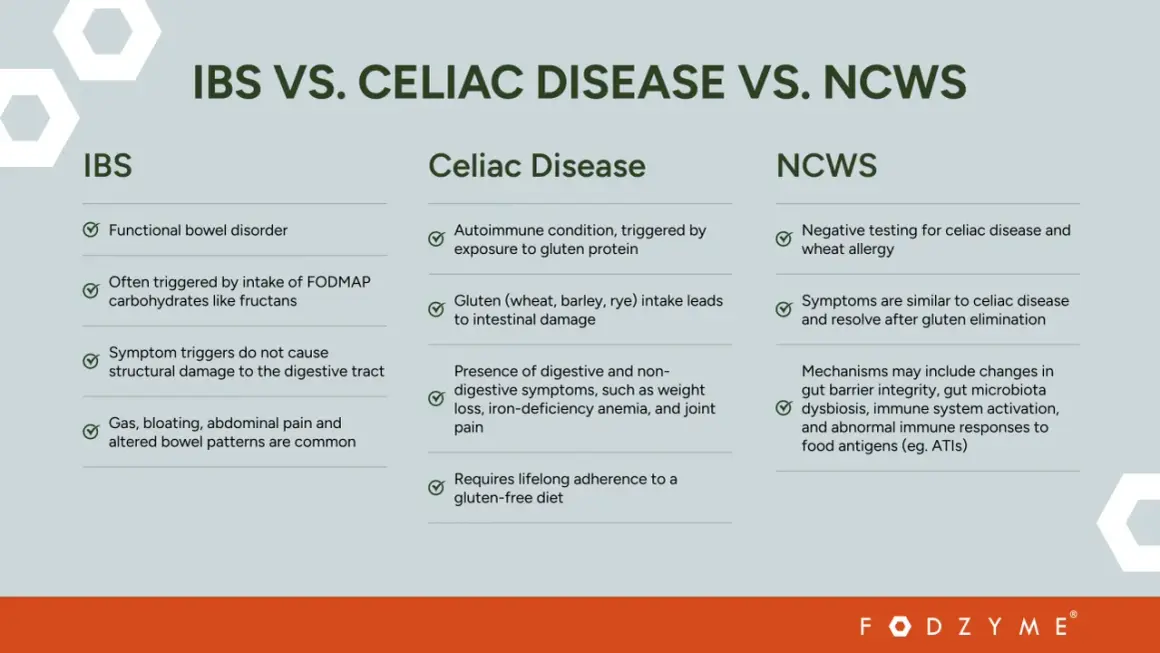 Porównanie IBS, celiakii i NCWS. Celiakia objawy: choroba autoimmunologiczna wywołana glutenem, prowadząca do uszkodzenia jelit i wymagająca diety bezglutenowej.