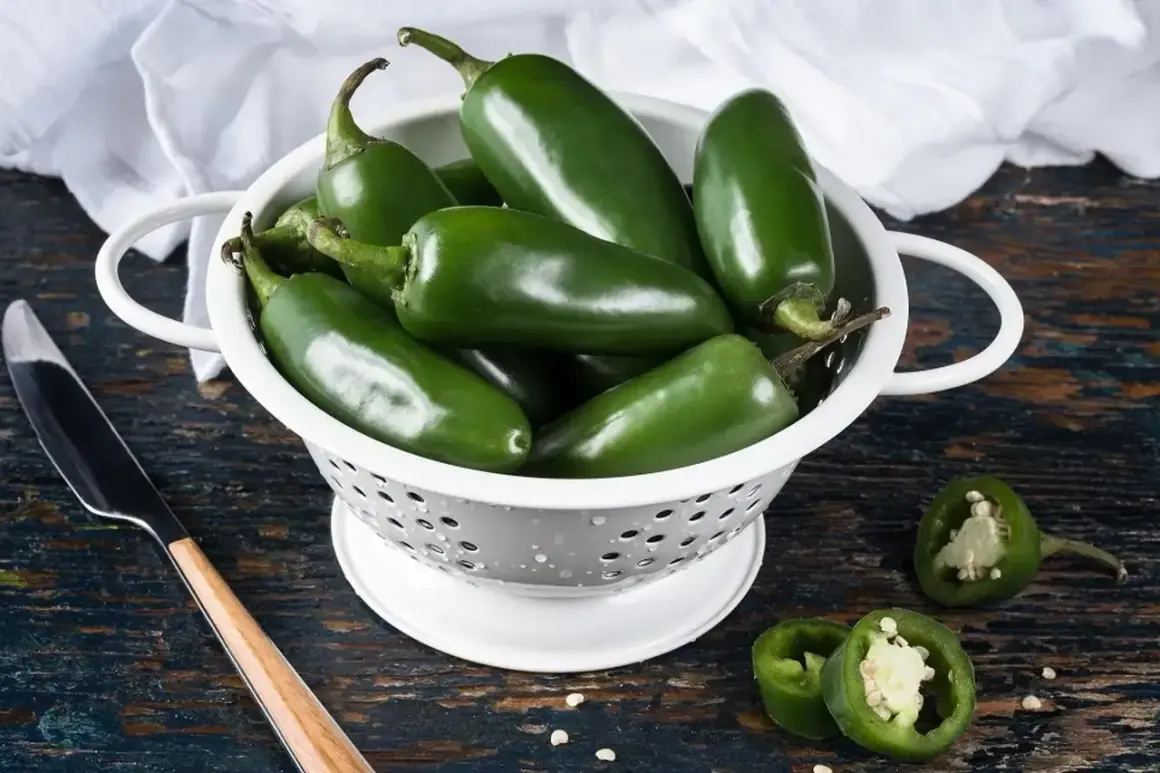 Świeże, zielone papryczki **jalapeno** w durszlaku, gotowe do przygotowania pikantnych potraw. Kilka przekrojonych sztuk pokazuje ich wnętrze.