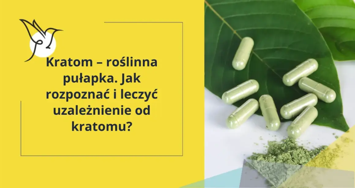Kratom – roślinna pułapka. Jak rozpoznać i leczyć uzależnienie od kratomu? Kilka kapsułek i proszek na liściach.