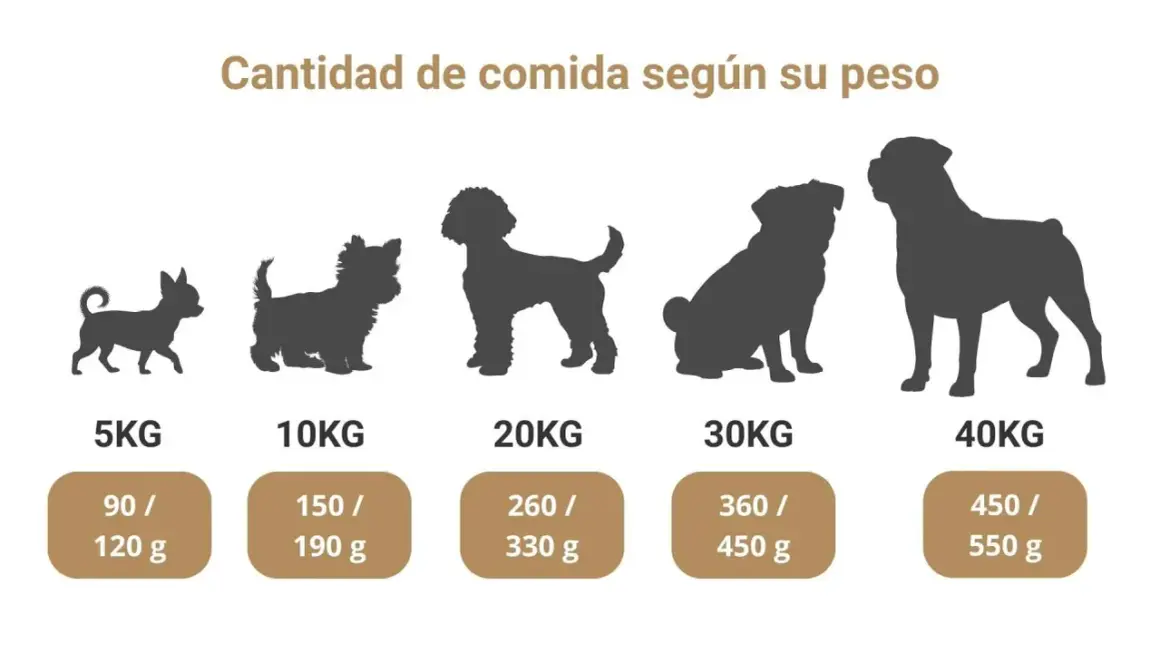 Siluetas de perros de diferentes tamaños, de 5 a 40 kg, con la cantidad de comida que comen según su peso.