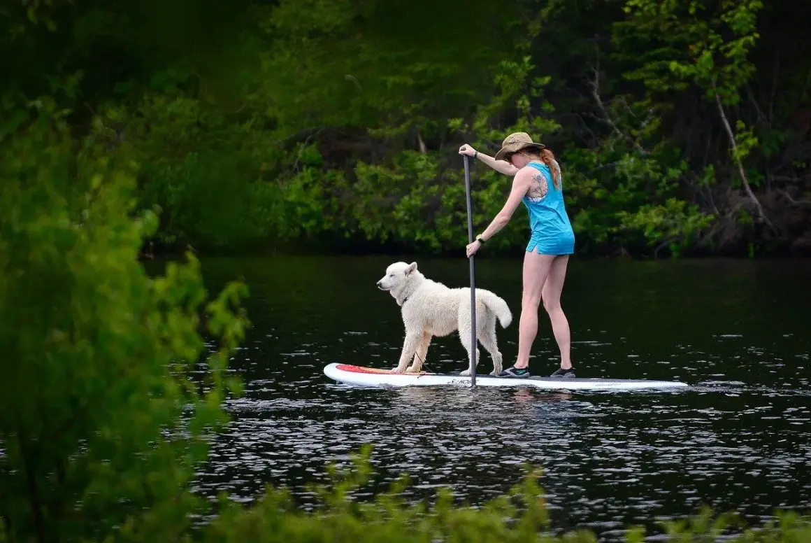Une femme et son chien profitent d'une activité insolite : du paddle sur un lac entouré de verdure.