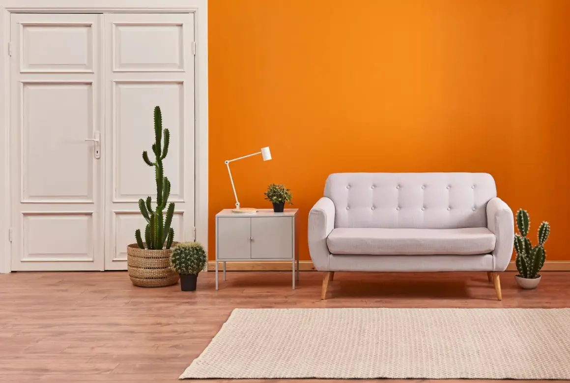 Ein helles Wohnzimmer mit einer leuchtend orangen Wand, einem grauen Sofa, Kakteen und einem Holzboden. Die raum farben schaffen eine warme Atmosphäre.