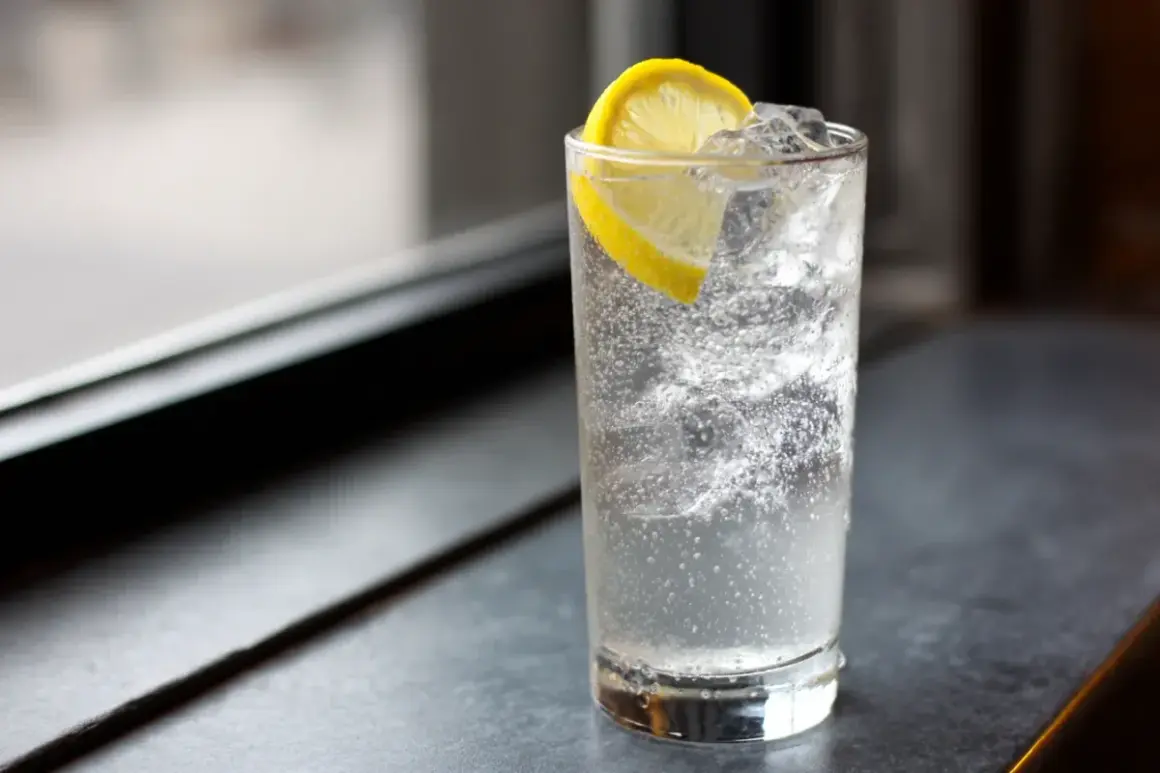 Ett glas med bubbligt vatten, is och en citronskiva. En perfekt enkel drink för en varm dag.