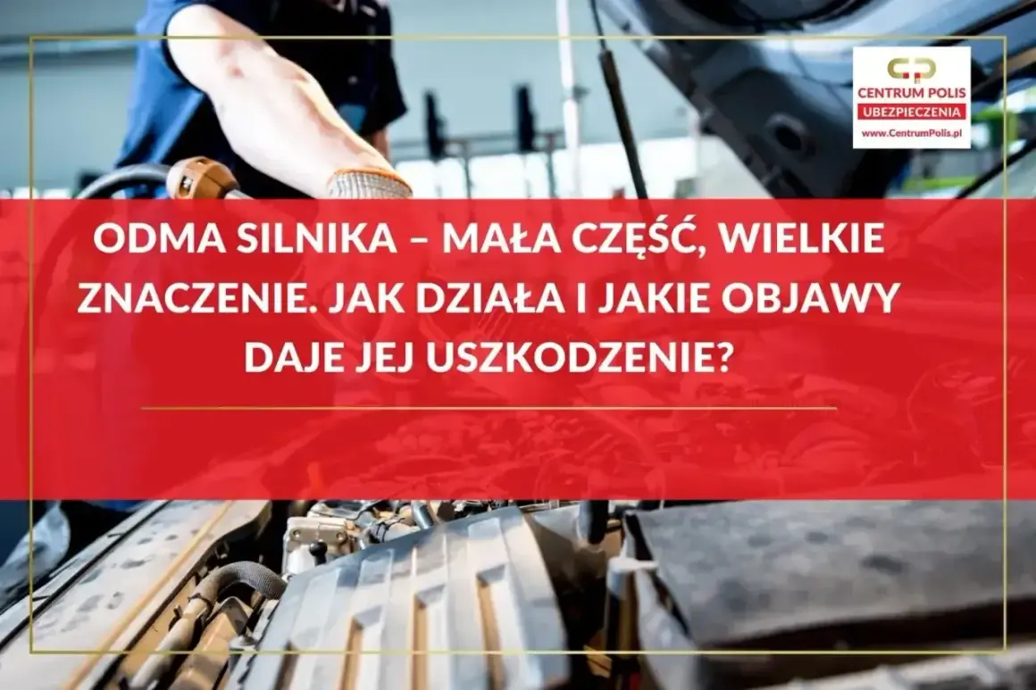 Mechanik sprawdza odma silnika. Dowiedz się, jak działa i jakie objawy daje jej uszkodzenie.