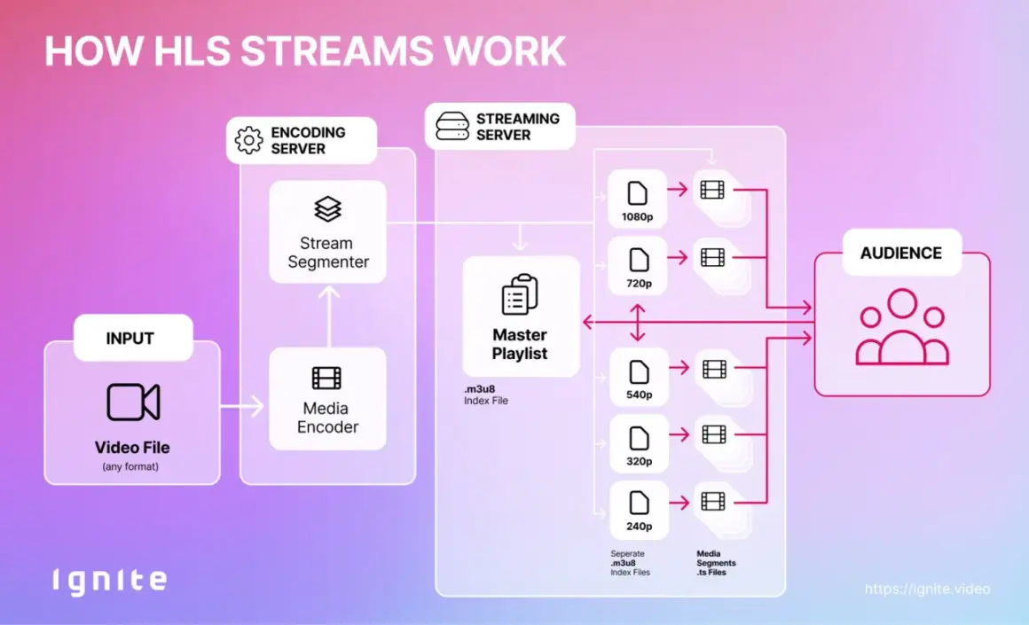 Diagram showing how HLS streams work, from video input to encoding, segmentation, and streaming server, enabling adaptive bitrate playback for the audience.