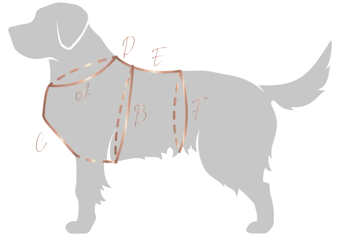 Ilustracja pokazuje schematyczne ujęcie psa z zaznaczonymi liniami i literami (A, B, C, D, E, F), które pomagają zrozumieć, jak zmierzyć szelki dla psa.