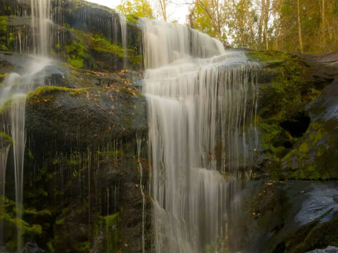 Cascada en los cañones del río Lozoya, con rocas cubiertas de musgo y hojas secas. El agua cae en velos blancos sobre la piedra oscura.