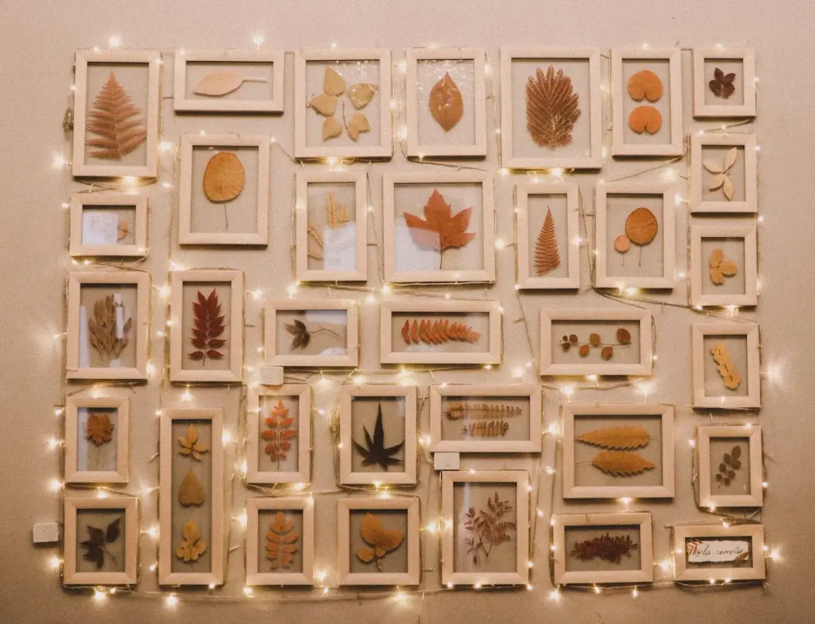 Collection de feuilles séchées encadrées, une belle idée peinture acrylique pour capturer la beauté de l'automne. Guirlande lumineuse ajoutant une touche chaleureuse.