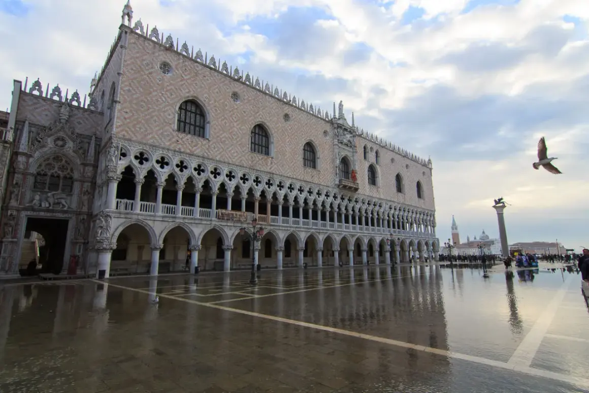 Palacio Ducal de Venecia reflejado en el suelo mojado por el acqua alta. Un ave vuela sobre la plaza.