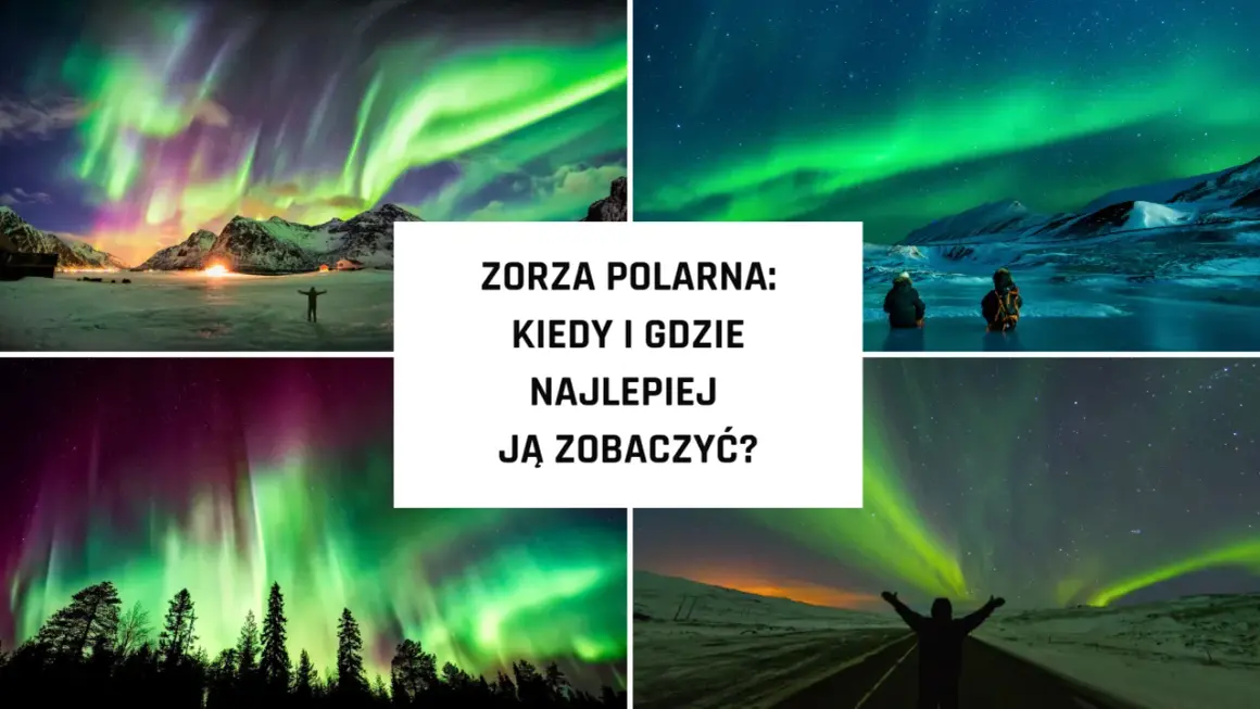 Widok na zorzę polarną, kiedy jest zielona i fioletowa nad ośnieżonymi górami i lasami.