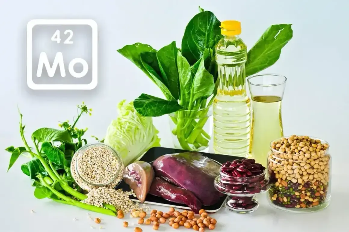 Tabela pierwiastków z symbolem Mo (molibden) obok produktów bogatych w ten pierwiastek: wątróbka, fasola, soja, zboża, warzywa liściaste i olej.