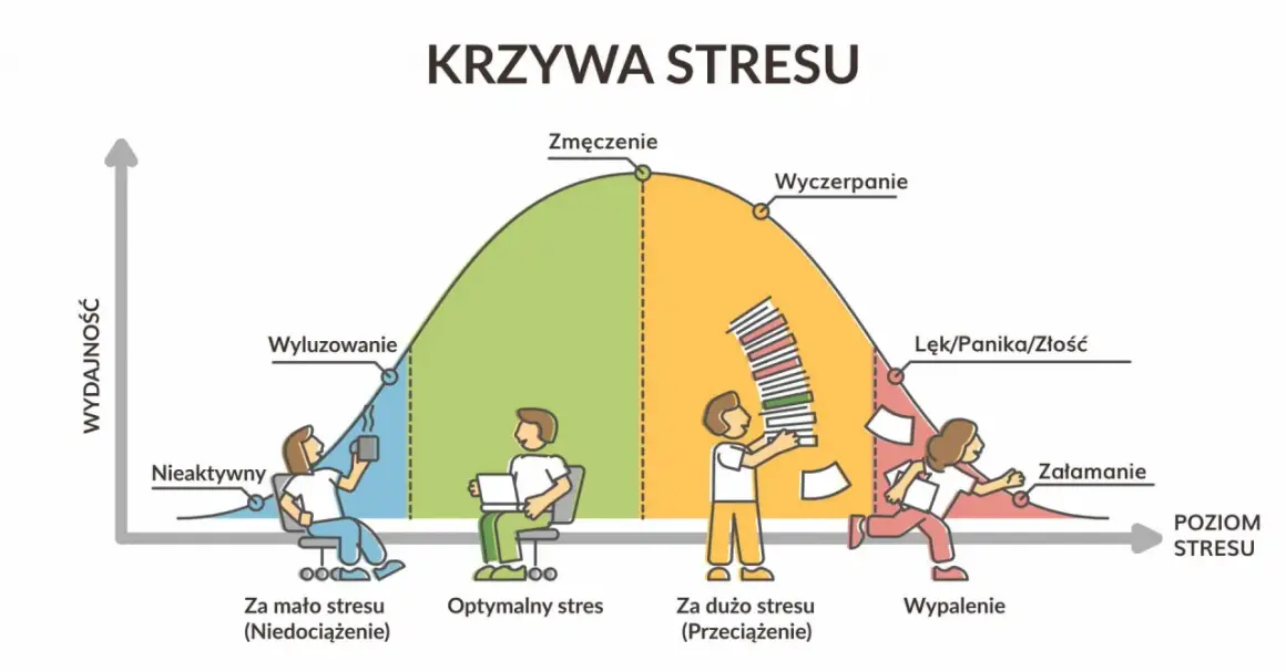 Krzywa stresu pokazuje, jak rozładować stres u nastolatków. Od niedociążenia, przez optymalny stres, po przeciążenie i wypalenie.